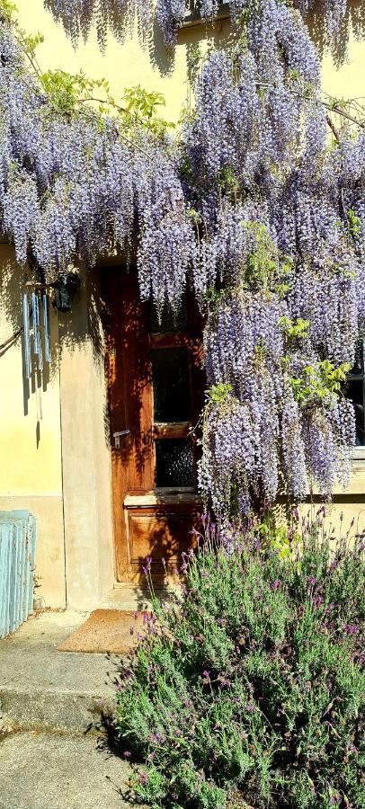 La Maison Des Tisserandes Montségur Eksteriør billede